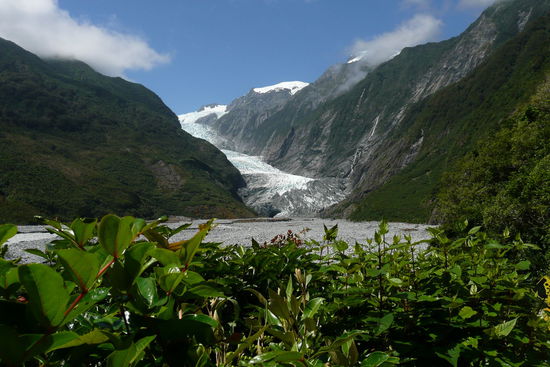 Franz Josef Glacier.