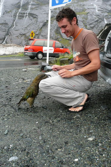 ...picken sogar Brotkruemel direkt von Peters Hose...
