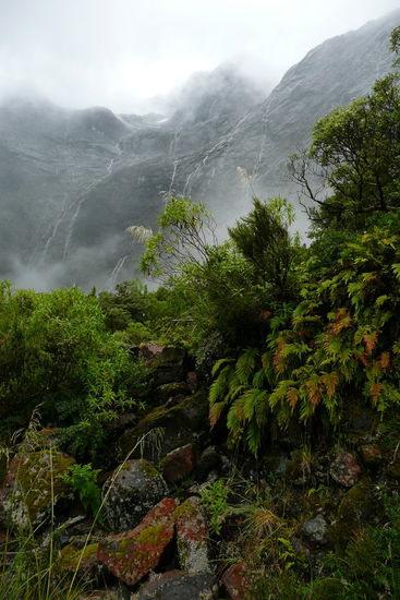 Verhangener Tag beim Milford Sound.