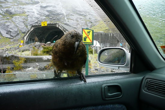 ...und statten uns einen Besuch im Auto ab! 