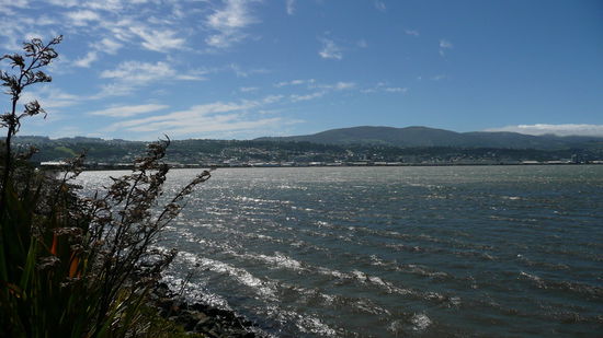 Kuestenfahrt zur Otago Peninsula hinaus.