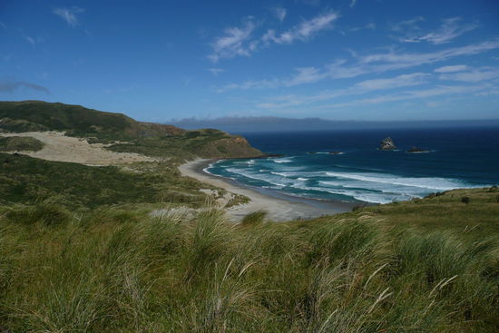 Der wunderschoene Strand, wo die Yellow Eyed Pinguins leben.