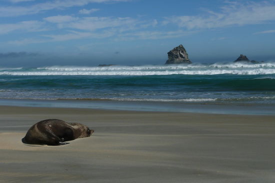 ...und laesst es sich mit toller Aussicht gut gehen.