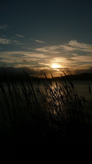 Die Sonne geht langsam unter, doch von den Pinguinen ist noch nichts zu sehen.