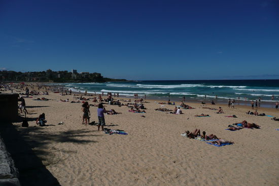 Der beruehmte Manly Beach ist an diesem heissen Tag beliebt.