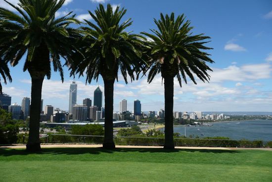 Die Hochhaeuser von Perth vom Kings Park aus gesehen.