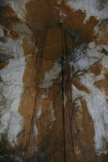 ...Wurzeln von oberhalb wachsen bis ins Cave...