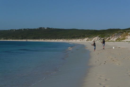 Wo die Fischer sind, da tummeln sich auch die Stachelrochen.