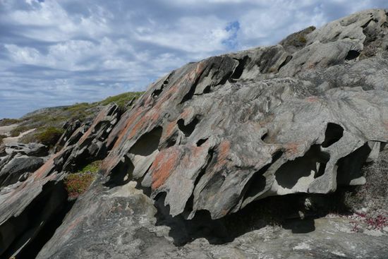 Im Fitzgerald River National Park gibt es durchloecherte Felsen!