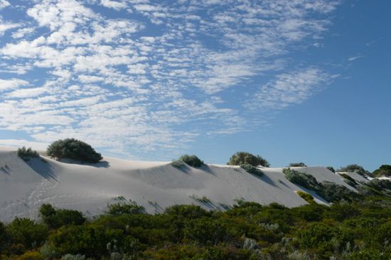 Sandduenen in der Naehe der Pinnacles.