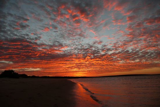 Der Himmel brennt!
Sonnenuntergang in Monkey Mia.