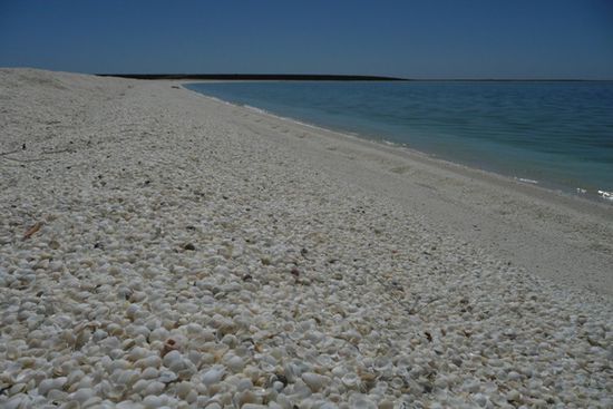 Der unglaubliche Shell Beach.