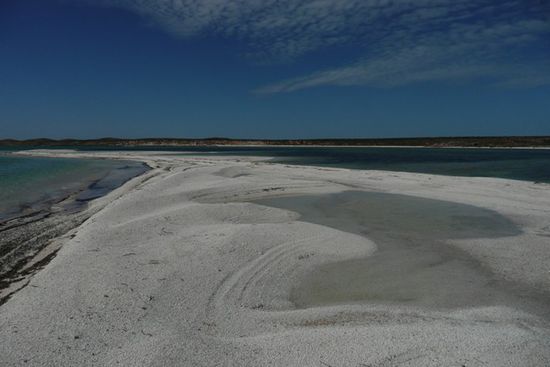 ganze Haufen von Muscheln saeumen die Straende