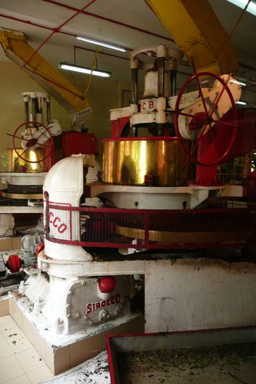 Mit dieser Maschine werden die Blaetter zermalmt und verfeinert.