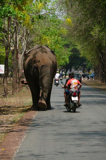 Schwertransport mal auf andere Art In Thailand nichts aussergewoehnliches!