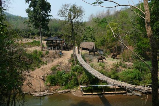 Eine wenig vertrauensvolle Haengebruecke fuehrt zum Elefantencamp.