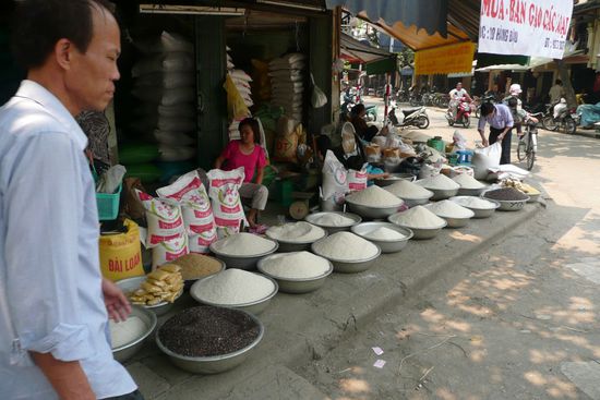 Hauptnahrungsmittel: Reis! (na was denn sonst?) 