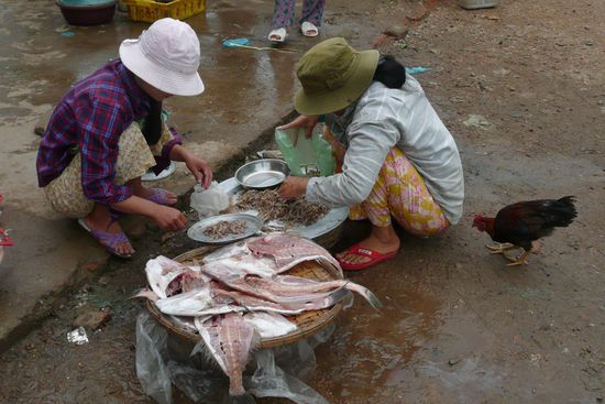 Alles wird (fast) auf dem Boden verarbeitet und verkauft.