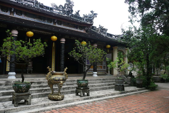 Hier wachsen etliche Bonsais.