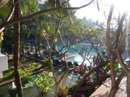 Der Pool mit Naturteich