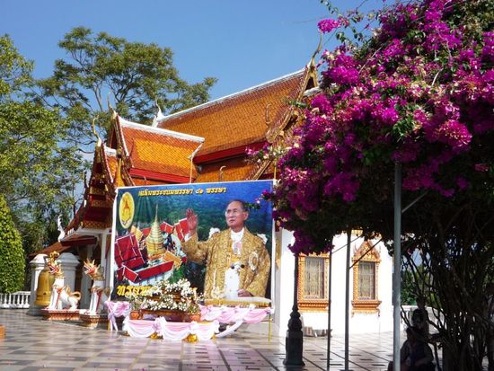 der König (überall present)