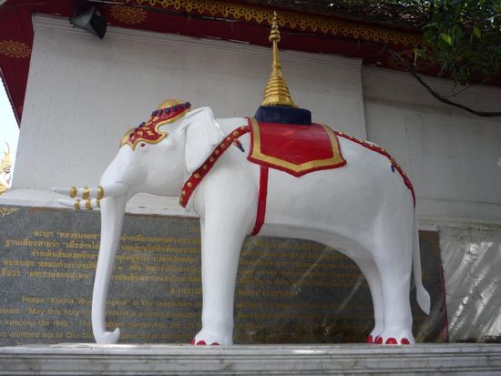 der heilige weiße Elefant