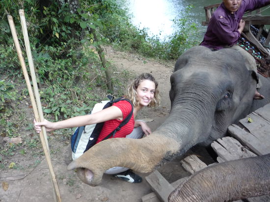 Kathis neuer bester Freund