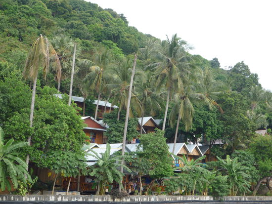 Unser Bungalow- mittlere Reihe der 2te von links