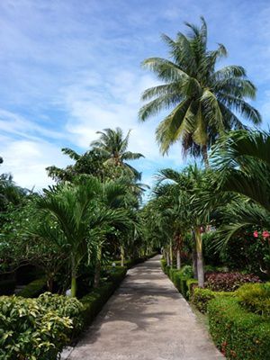 Weg zum Strand im Resort