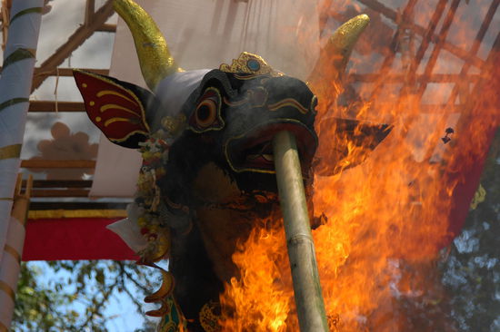 Der Verbrennungsstier!