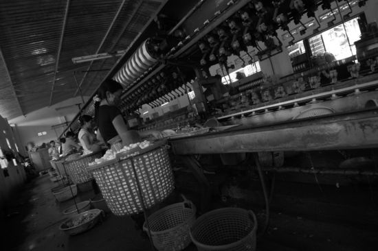 ... Weiterverarbeitung, ...