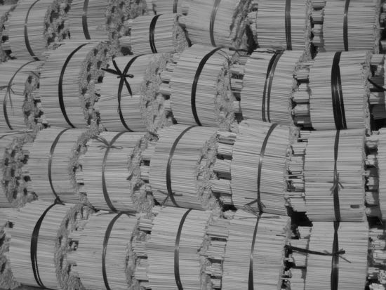 In einer Essstaebchen-"Fabrik"