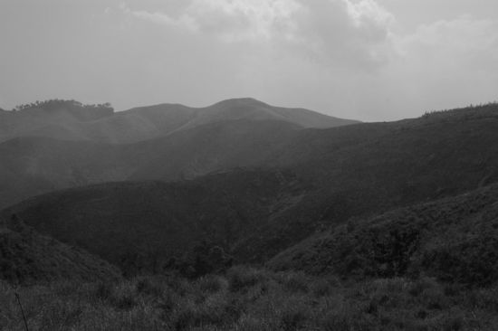 Durch Agent-Orange entlaubte Huegel: bis heute (fuer immer?) verseucht