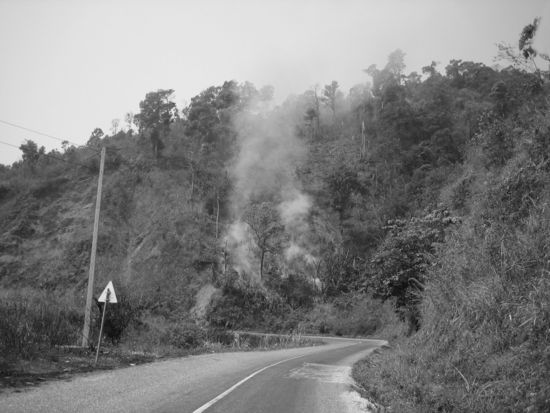 Brandrodung am Strassenrand