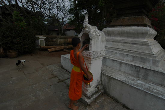 Einen Teil der Morgengaben werden von den Moenchen wieder als Opfer dargebracht