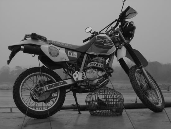 Geschafft. Motorrad bietet Vogelkaefig halt