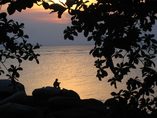 Kontemplation bei Sonneruntergang