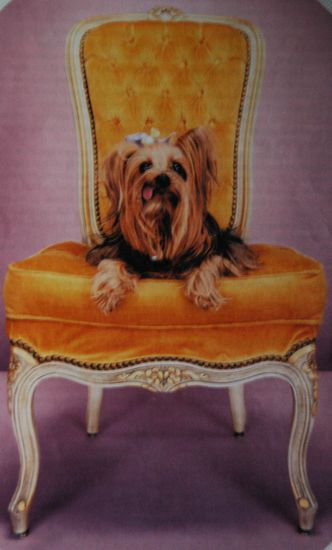 Her Highness Miss Daisy