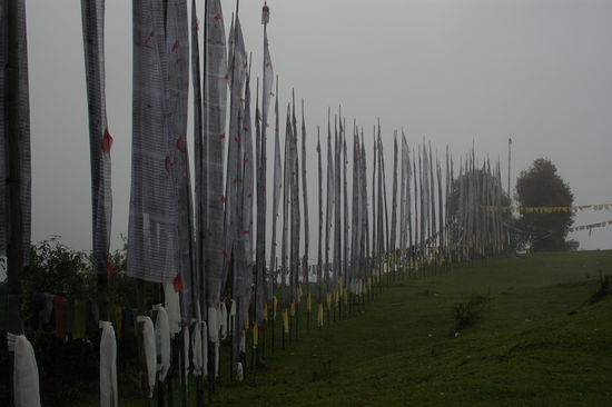 Allgegenwaertig: Gebetsfahnen