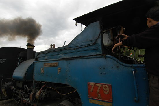 Himalaya Bird: auch Dampfloks kommen beim Toy Train zum Einsatz