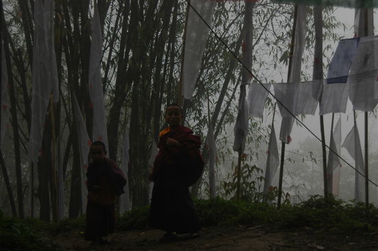 Kleine Moenche in der Enchey Gompa