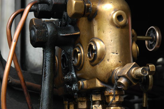 Detailansichten vom Himalya Bird