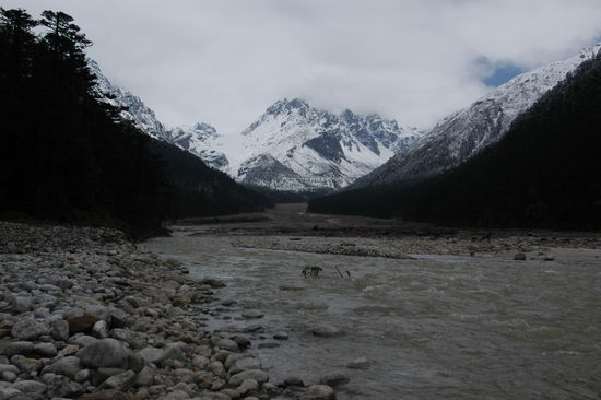 Blick vom Yumthang-Tal in Richtung Tibet (ist noch ein Stueck ...)