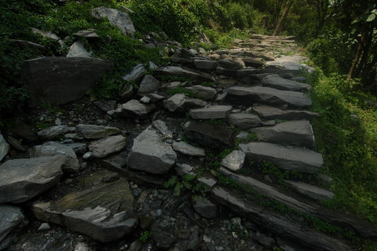 Die Steinstufen hinauf nach Ulleri ... endlose 540 Hoehenmeter