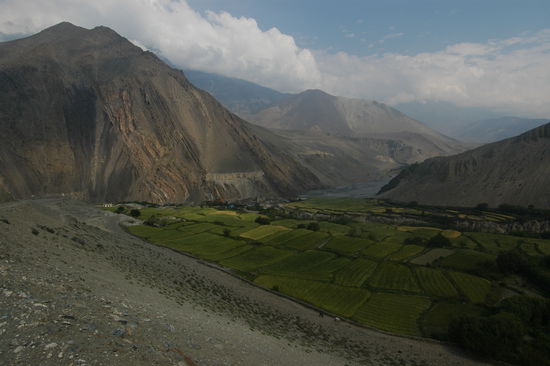 Zwischen Kagbeni und Muktinath;
Kagbeni