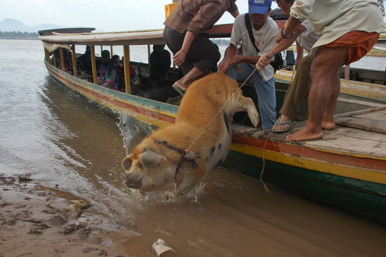 Befoerderungsgueter aller Art