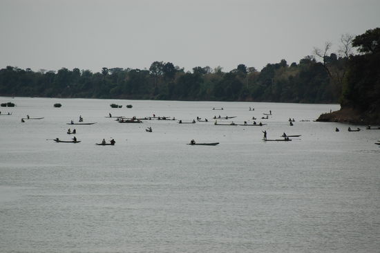 Mekong bei Don Khong