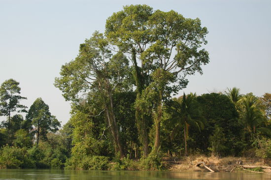 Auf dem Weg zum grossen Wasserfall