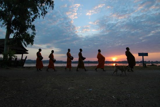 Moenche auf ihrem allmorgentlichen Bettelgang (auf Don Khong)