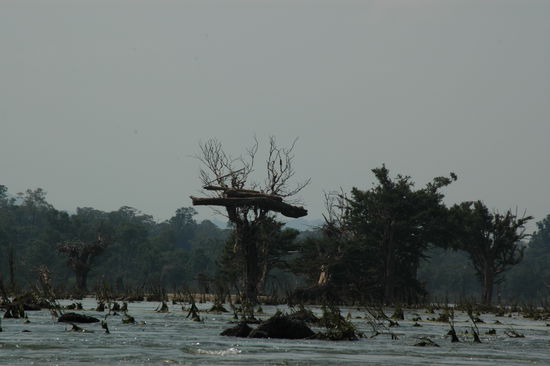 Mekong zwischen laotisch/kambodschianischer Grenze und Stung Treng